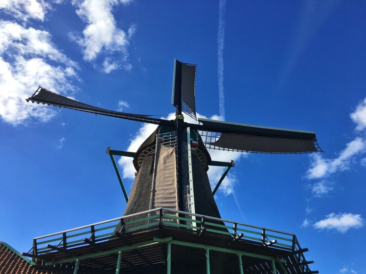 Image uploaded from iOS (10)