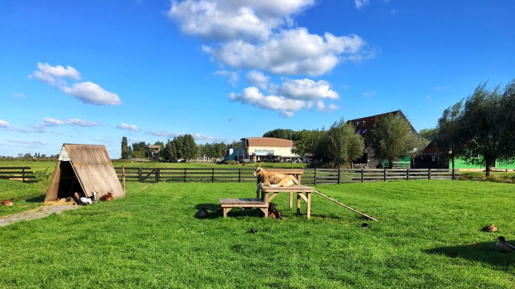 Image uploaded from iOS (2)