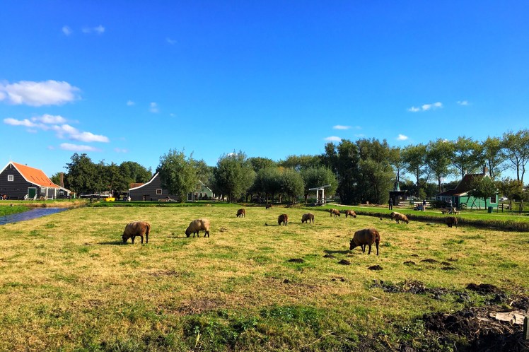 Image uploaded from iOS (3)