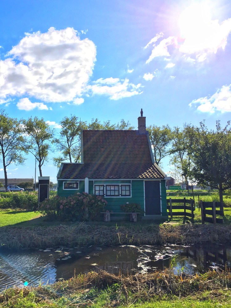 Image uploaded from iOS (4)