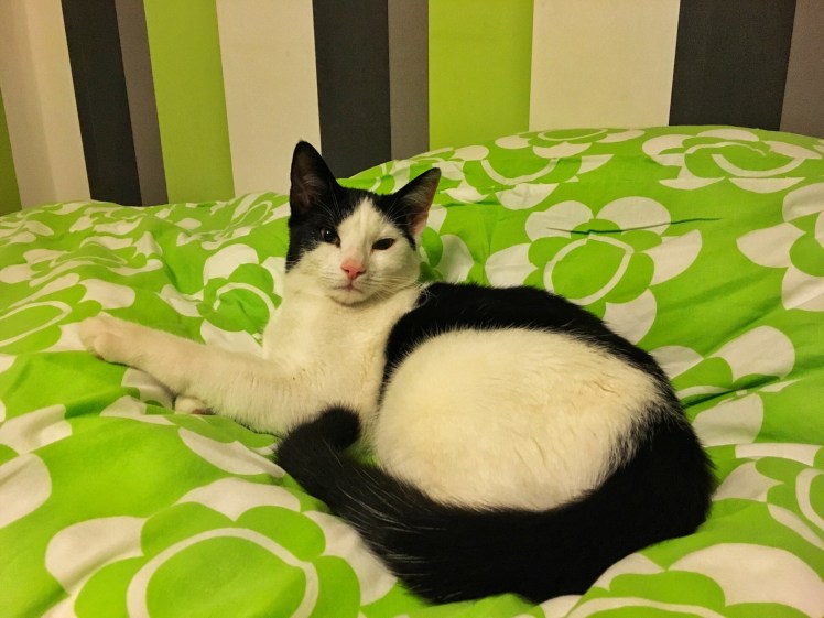 Wijk aan Zee Fam - 1