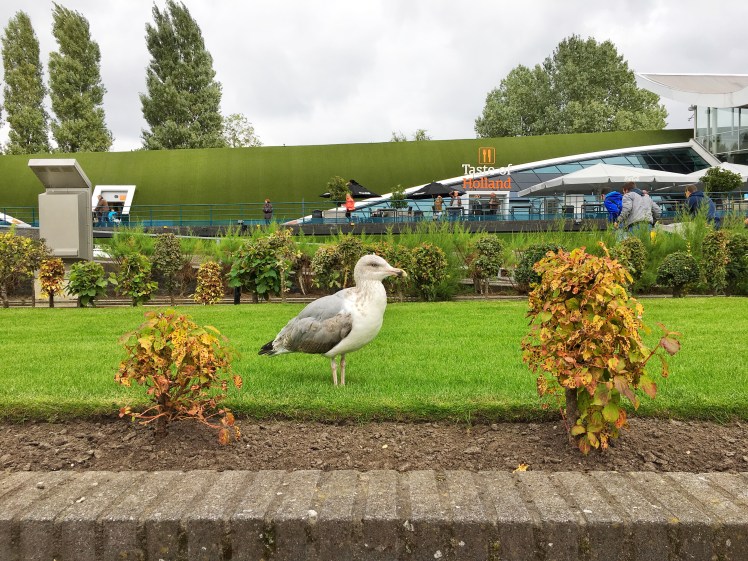 Madurodam Den Haag The Hague Holland Netherlands (2)